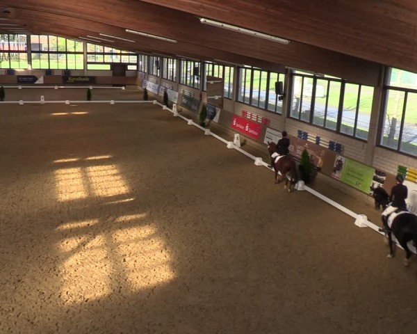 Reitturnier Oelde 2024