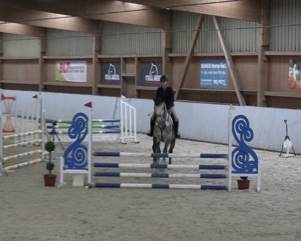 Reitturnier Lentzke - Reitanlage Krehl 2024