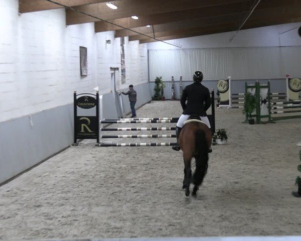 Reitturnier Lentzke - Reitanlage Krehl 2024
