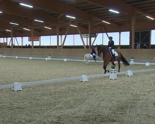 Reitturnier Grafenrheinfeld/Ufr. 2024