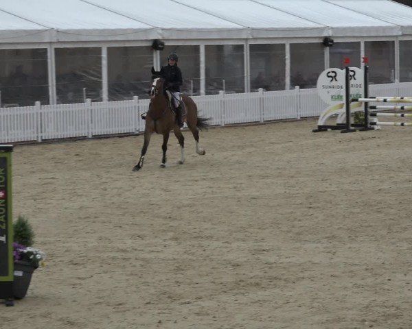 Reitturnier Amriswil 2024