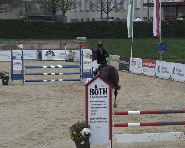 Reitturnier Amriswil 2024