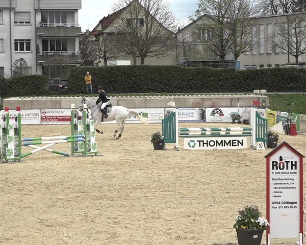 Reitturnier Amriswil 2024