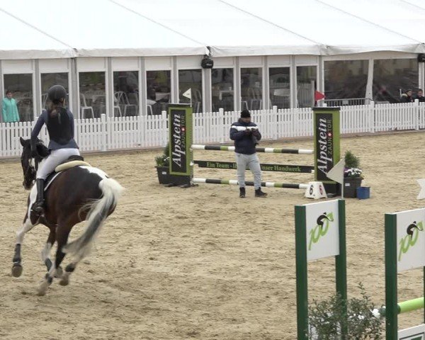 Reitturnier Amriswil 2024
