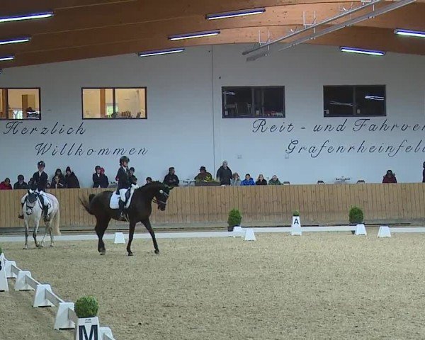 Reitturnier Grafenrheinfeld/Ufr. 2024
