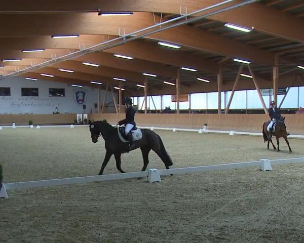Reitturnier Grafenrheinfeld/Ufr. 2024
