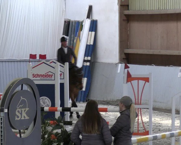 Reitturnier Lentzke - Reitanlage Krehl 2024