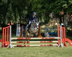 dressage horse La Luna 398 (German Riding Pony, 2016, from Myloo CJ)
