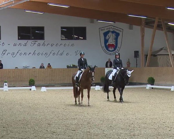 Reitturnier Grafenrheinfeld/Ufr. 2024
