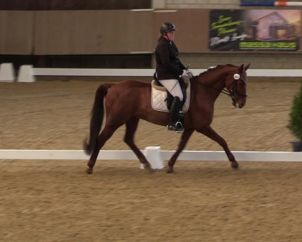 Reitturnier Oelde 2024