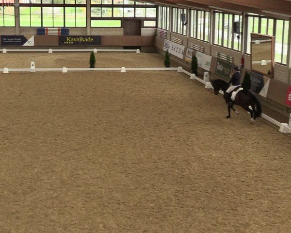 Reitturnier Oelde 2024