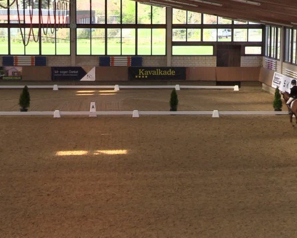 Reitturnier Oelde 2024