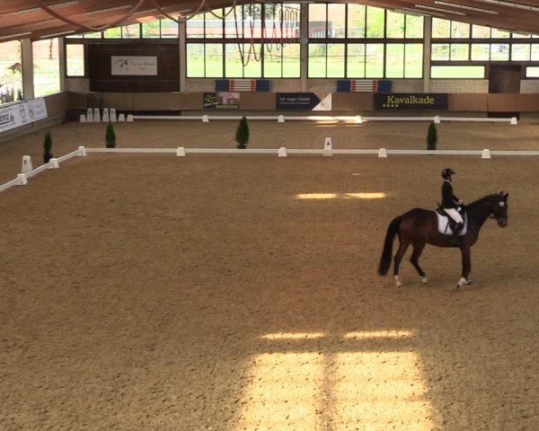 Reitturnier Oelde 2024