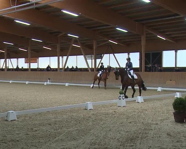 Reitturnier Grafenrheinfeld/Ufr. 2024