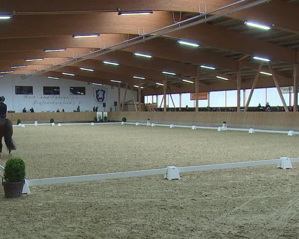 Reitturnier Grafenrheinfeld/Ufr. 2024