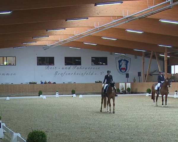Reitturnier Grafenrheinfeld/Ufr. 2024