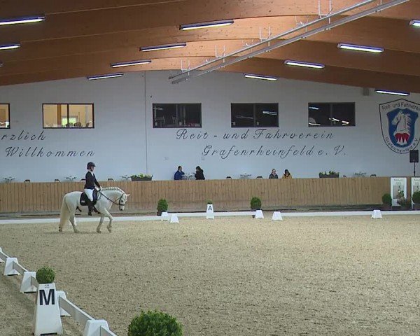 Reitturnier Grafenrheinfeld/Ufr. 2024