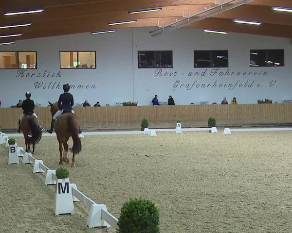 Reitturnier Grafenrheinfeld/Ufr. 2024