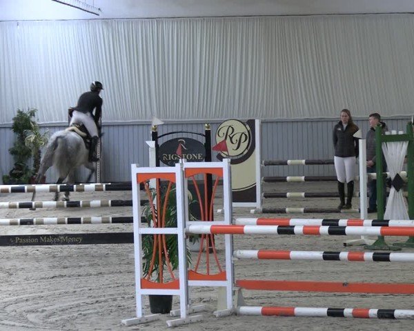 Reitturnier Lentzke - Reitanlage Krehl 2024