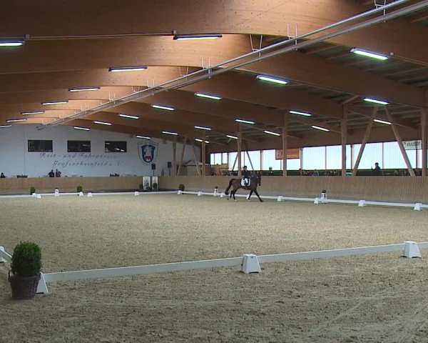 Reitturnier Grafenrheinfeld/Ufr. 2024