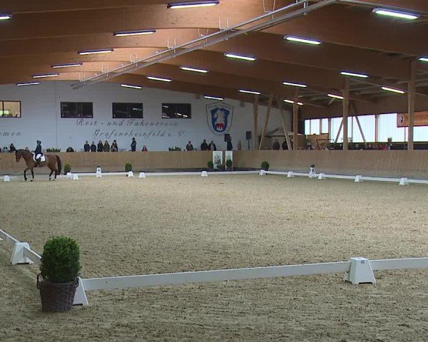 Reitturnier Grafenrheinfeld/Ufr. 2024