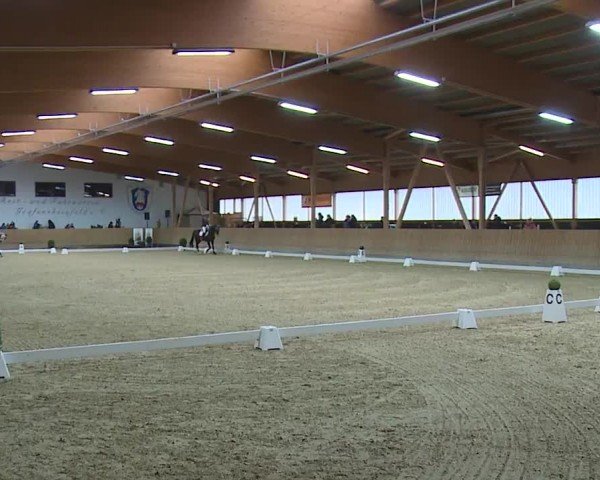 Reitturnier Grafenrheinfeld/Ufr. 2024