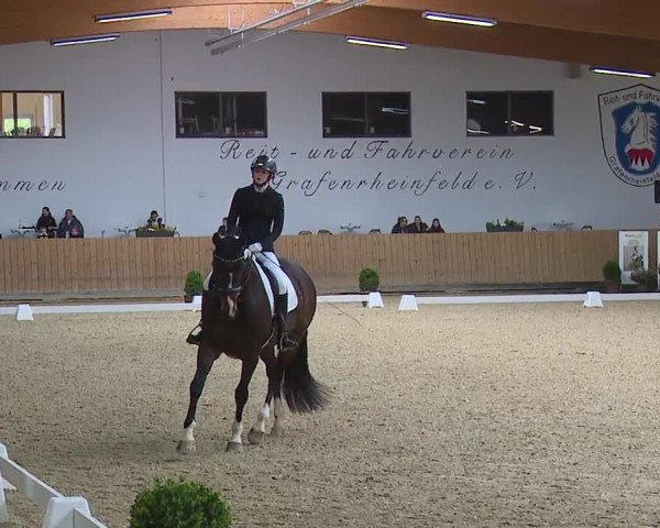 Reitturnier Grafenrheinfeld/Ufr. 2024
