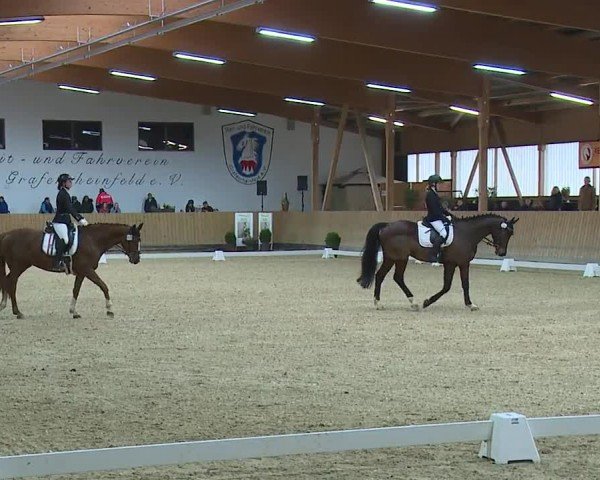 Reitturnier Grafenrheinfeld/Ufr. 2024