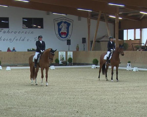 Reitturnier Grafenrheinfeld/Ufr. 2024