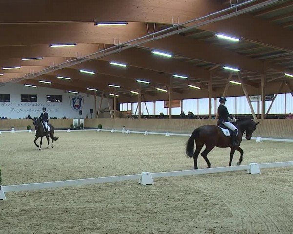 Reitturnier Grafenrheinfeld/Ufr. 2024