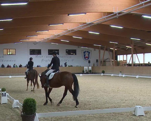Reitturnier Grafenrheinfeld/Ufr. 2024