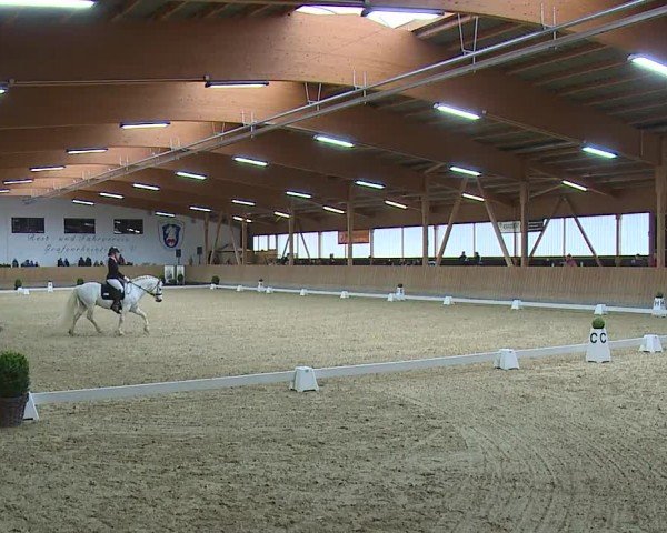 Reitturnier Grafenrheinfeld/Ufr. 2024
