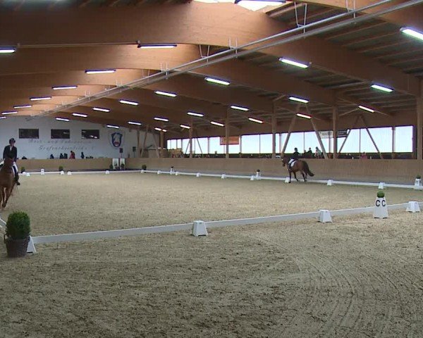 Reitturnier Grafenrheinfeld/Ufr. 2024