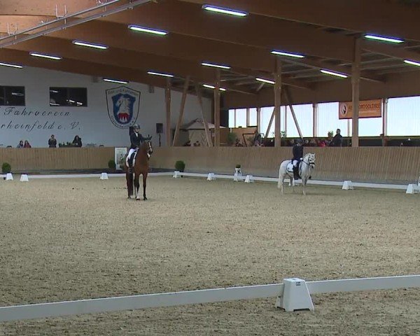 Reitturnier Grafenrheinfeld/Ufr. 2024