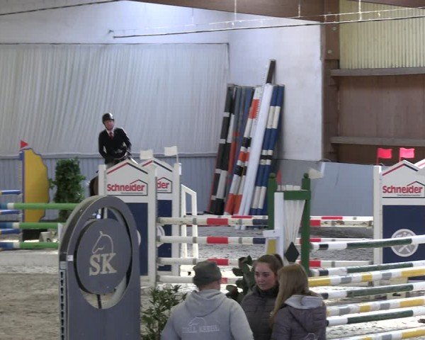 Reitturnier Lentzke - Reitanlage Krehl 2024