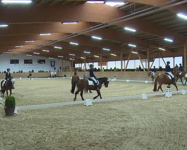 Reitturnier Grafenrheinfeld/Ufr. 2024