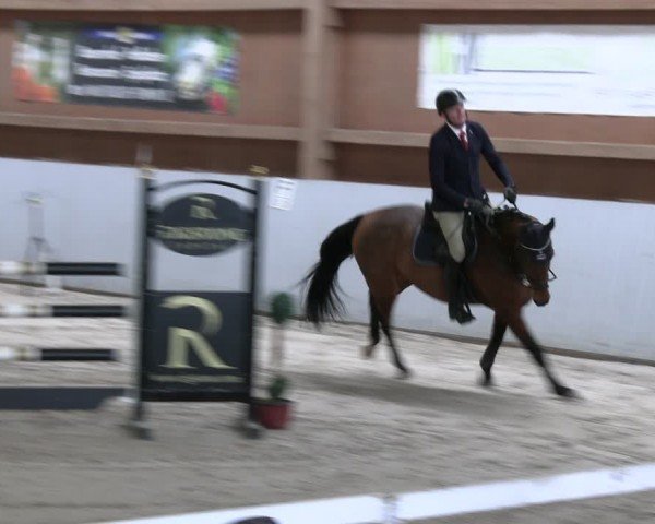 Reitturnier Lentzke - Reitanlage Krehl 2024
