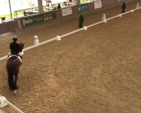 Reitturnier Oelde 2024