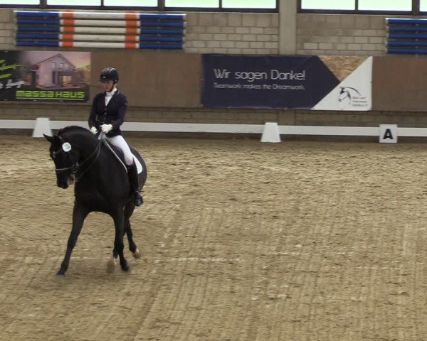 Reitturnier Oelde 2024
