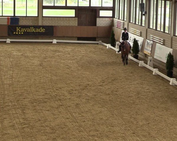 Reitturnier Oelde 2024