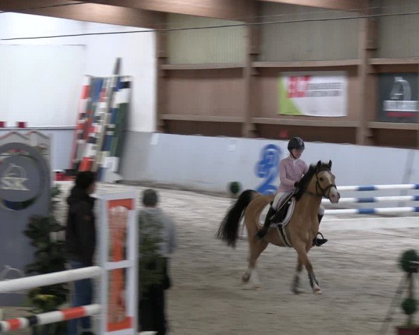 Reitturnier Lentzke - Reitanlage Krehl 2024