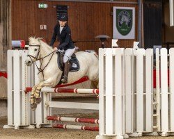 jumper Lemex (Pony without race description, 2014)