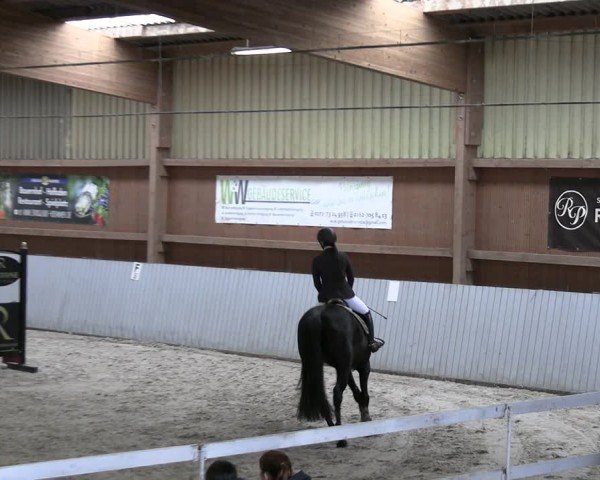 Reitturnier Lentzke - Reitanlage Krehl 2024