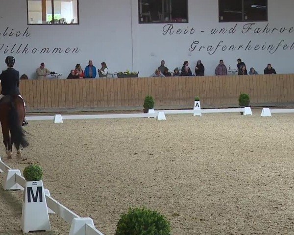 Reitturnier Grafenrheinfeld/Ufr. 2024