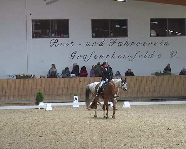 Reitturnier Grafenrheinfeld/Ufr. 2024