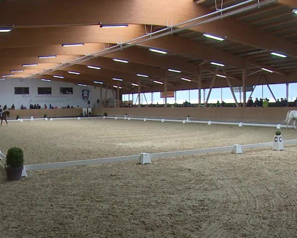 Reitturnier Grafenrheinfeld/Ufr. 2024