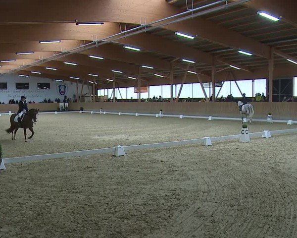 Reitturnier Grafenrheinfeld/Ufr. 2024
