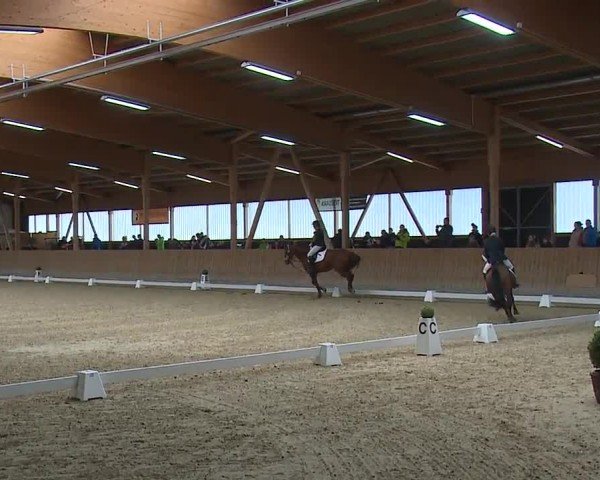 Reitturnier Grafenrheinfeld/Ufr. 2024