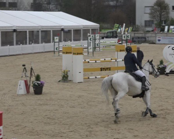 Reitturnier Amriswil 2024