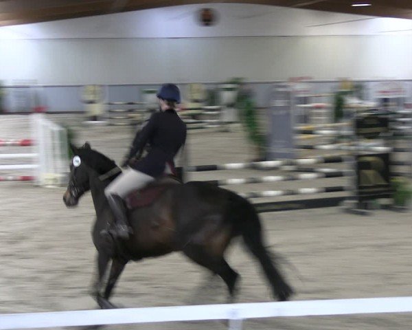 Reitturnier Lentzke - Reitanlage Krehl 2024